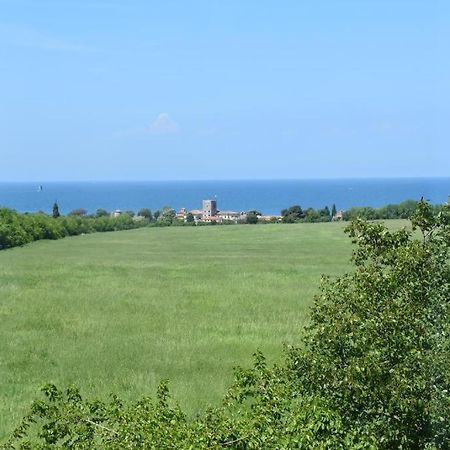 Apartmani Ritosa Novigrad  ภายนอก รูปภาพ