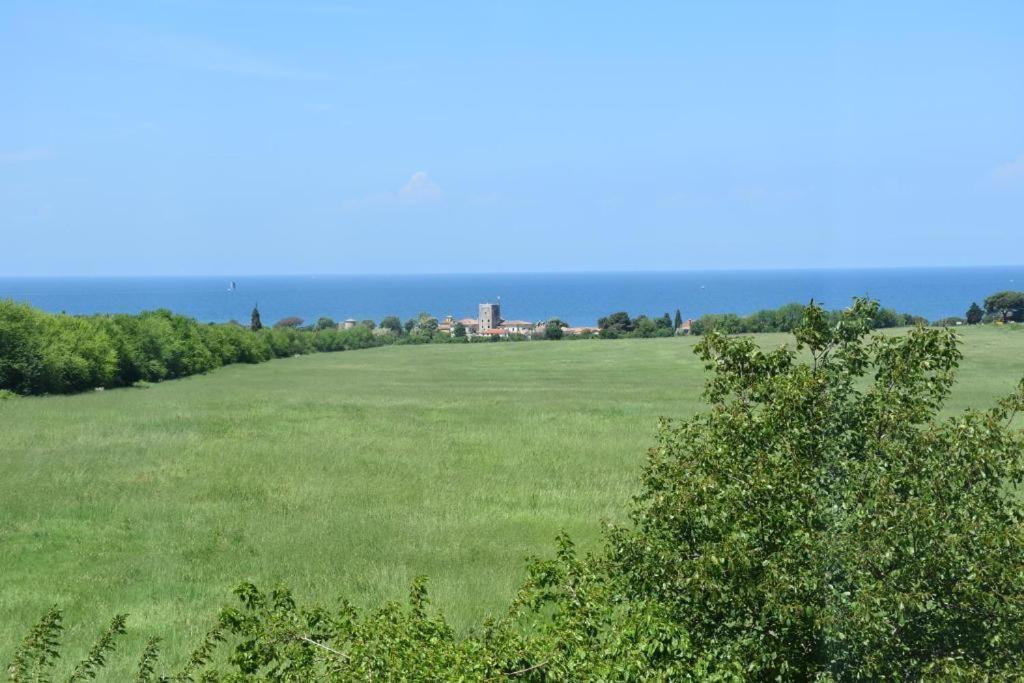 Apartmani Ritosa Novigrad  ภายนอก รูปภาพ